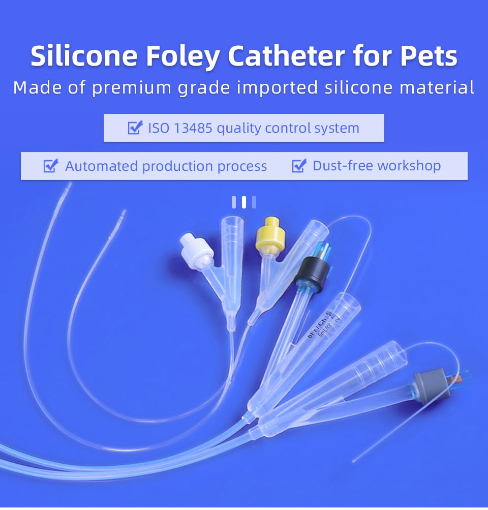 foley catheter for pets